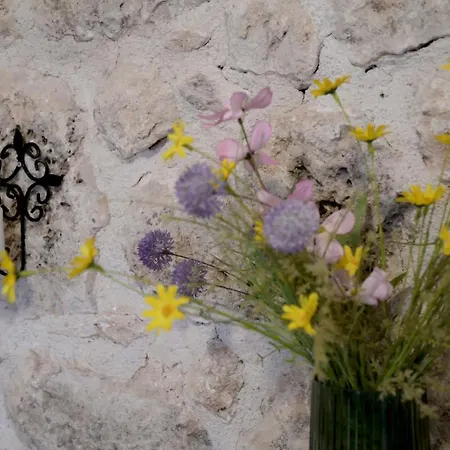 Lejlighed Forest Retreat *