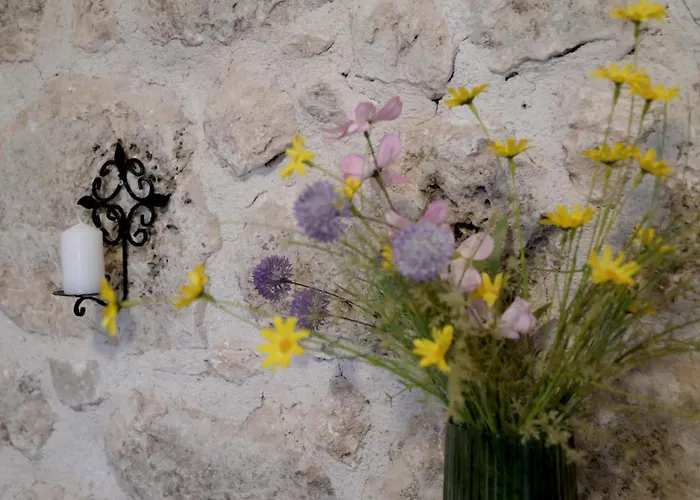 Apartman Forest Retreat *