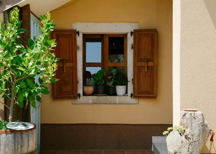 Forest Retreat Lejlighed