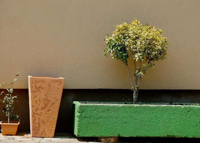 Forest Retreat Poreč