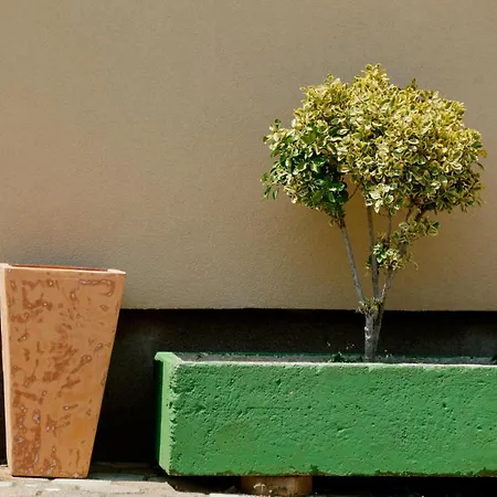 Forest Retreat 波雷奇