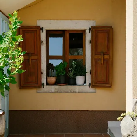 Forest Retreat 아파트